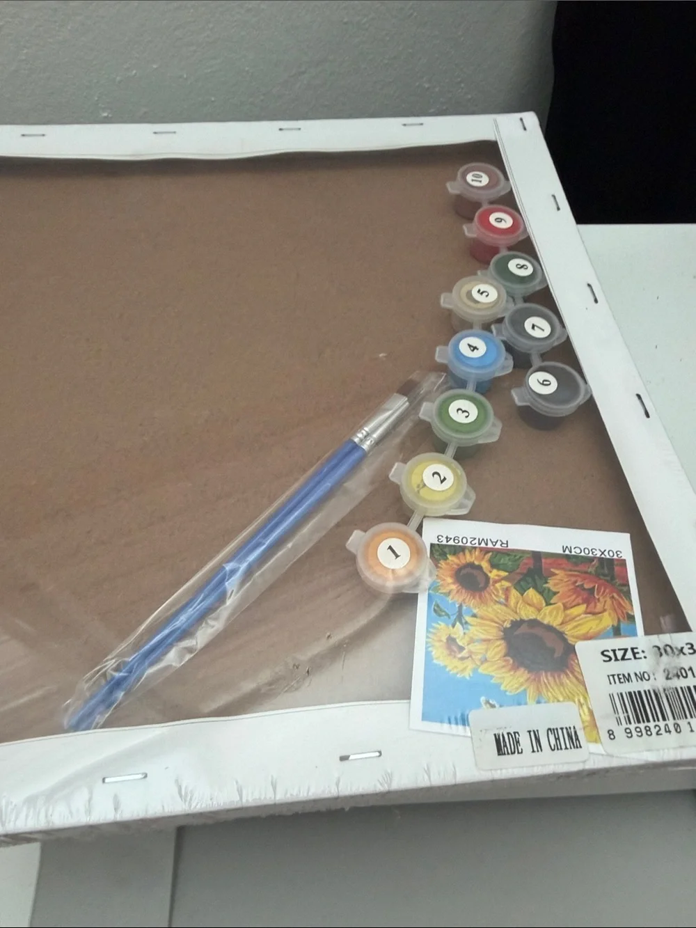 Blank Paint-by-Number Canvas with Sunflower Design - White